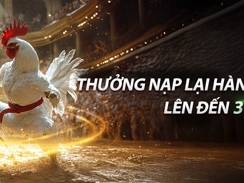 Hình ảnh phúc lợi điểm danh hàng ngày tại 123b